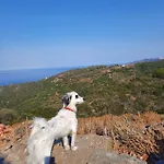 Barbacane